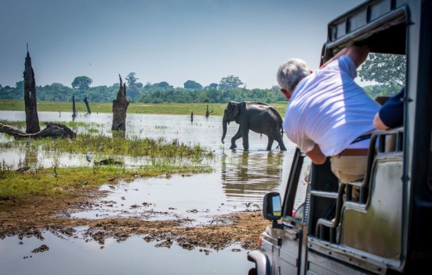 Sri Lanka: 5 Days Multi City Sightseeing Tour