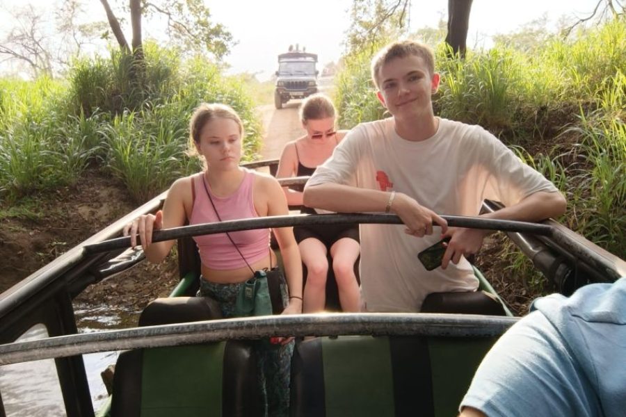 From Colombo: Udawalawe National Park Safari with Lunch