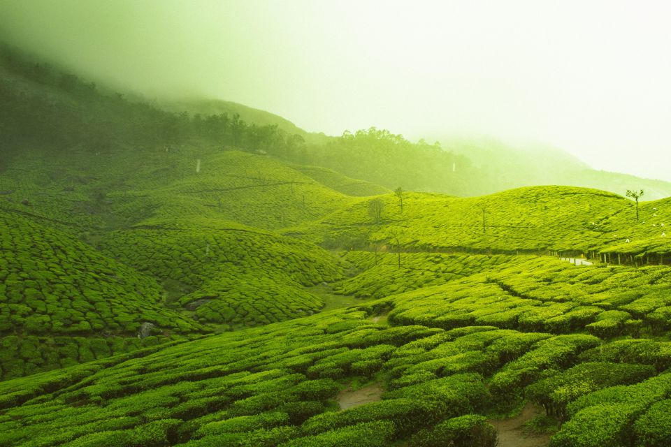 Day 4: Kandy-Nuwara Eliya