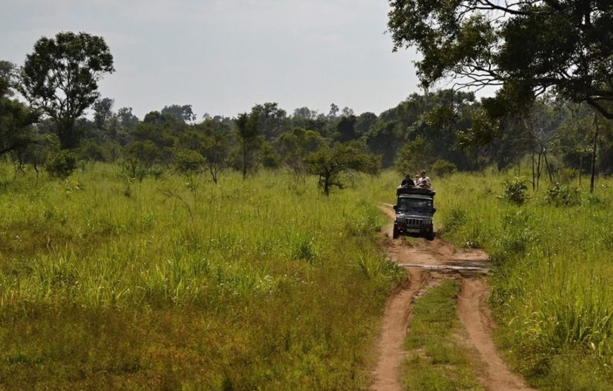 Sri Lanka: 7-Day Off-The-Beaten Path Tour