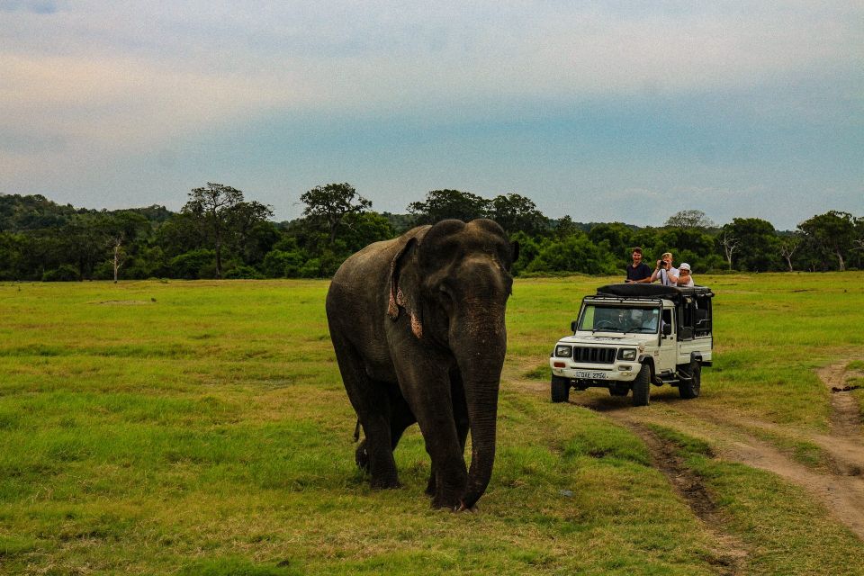 Day 5 - Nuwara Eliya to Yala