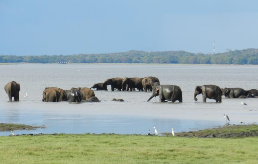 Sri Lanka heritage 5-day tour of Sri Lanka