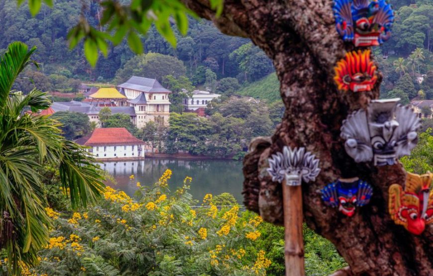 Colombo : Day Trip Kandy Pinnawala and Tea Factory