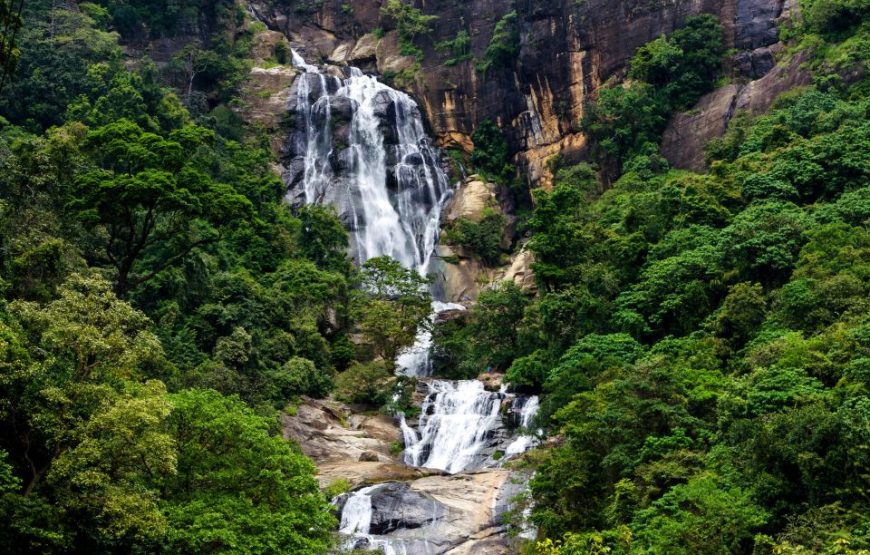 Sri Lanka: 5 Days Multi City Sightseeing Tour