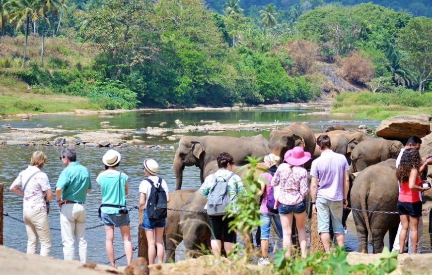 Sri Lanka heritage 5-day tour of Sri Lanka