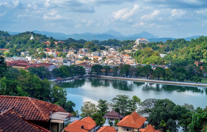 Colombo : Day Trip Kandy Pinnawala and Tea Factory