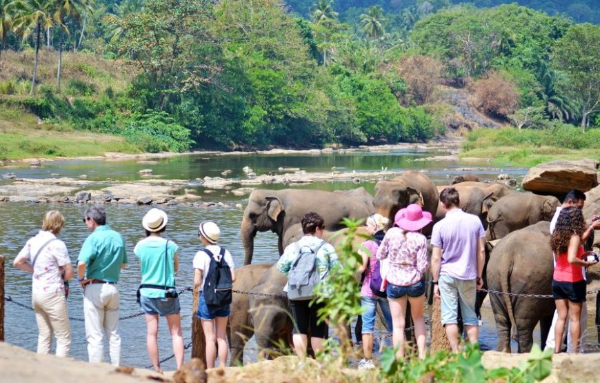 Sri Lanka: 7-Day Off-The-Beaten Path Tour