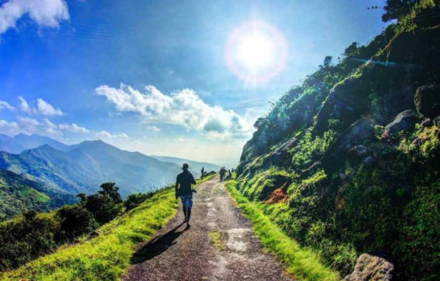 Dambulla to Knuckles: Overnight Trekking & Hiking Adventure