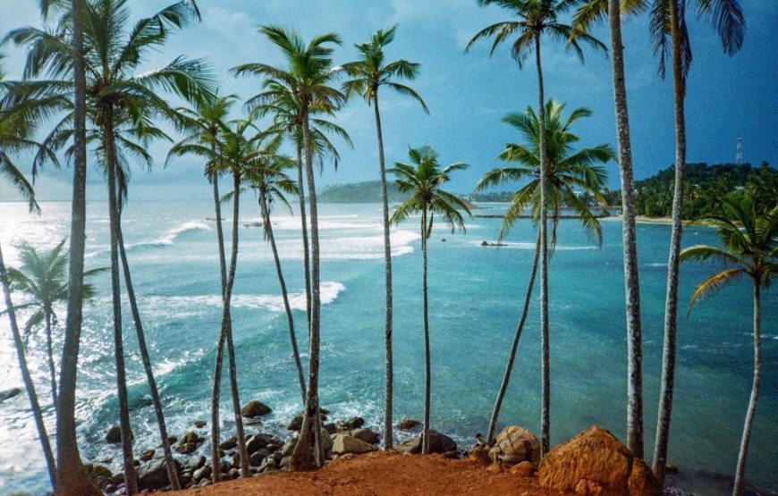 Visit Sri Lanka 7 Days Round Trip