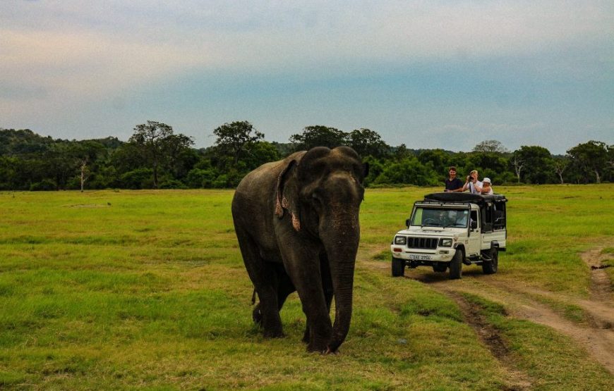 Colombo: 3-Day Cultural Triangle 5 UNESCO Heritage Site Tour