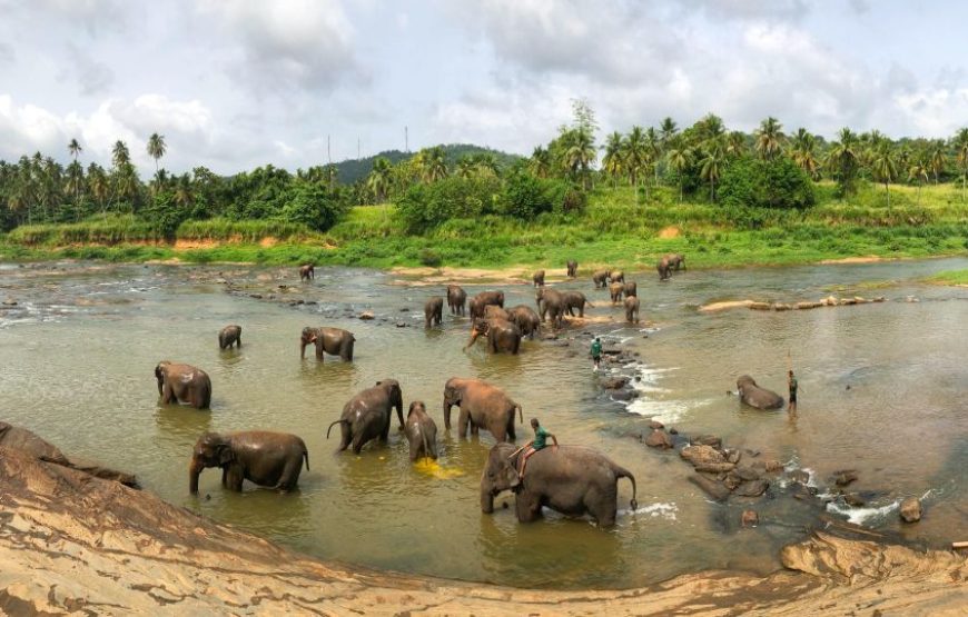 Visit Sri Lanka 7 Days Round Trip