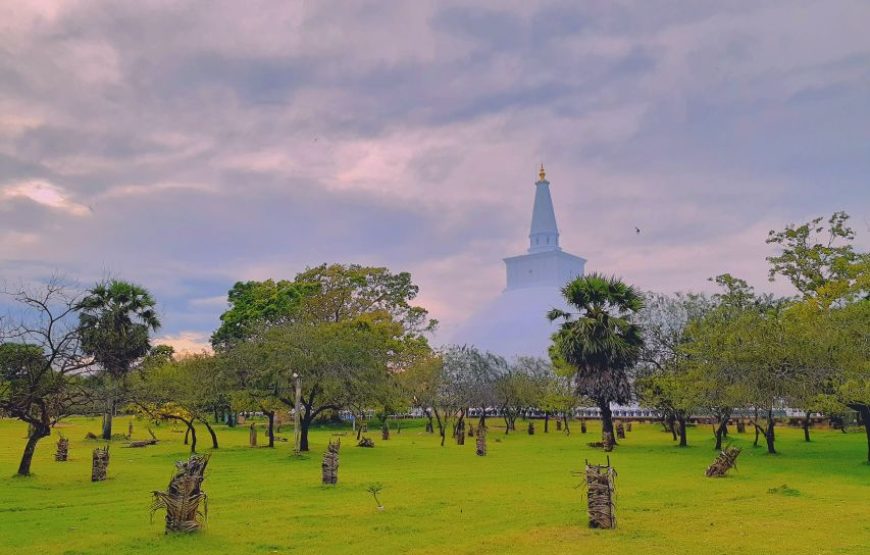 Colombo: 3-Day Cultural Triangle 5 UNESCO Heritage Site Tour