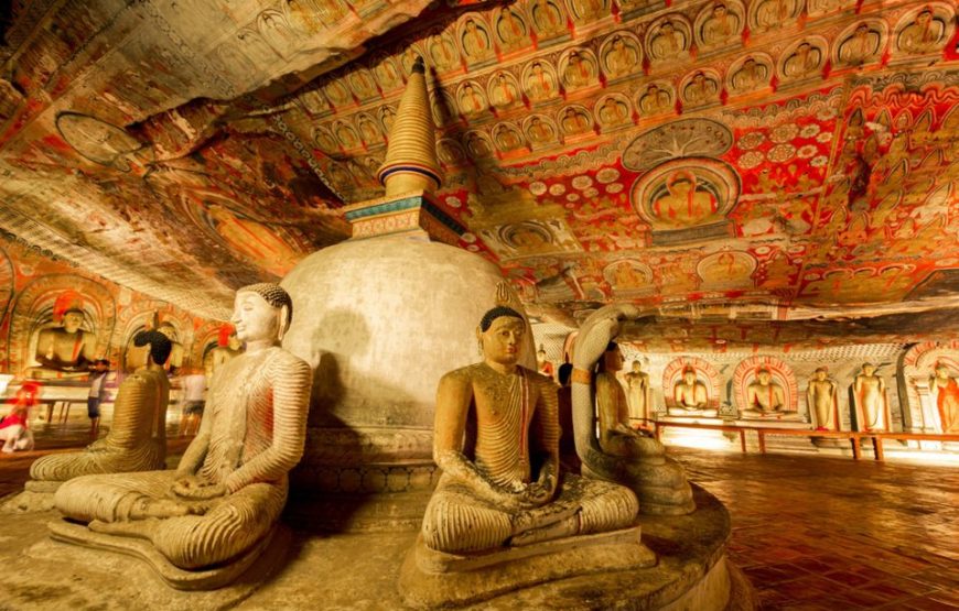 Kandy: Sigiriya Fortress & Cave Temple All-Inclusive Tour