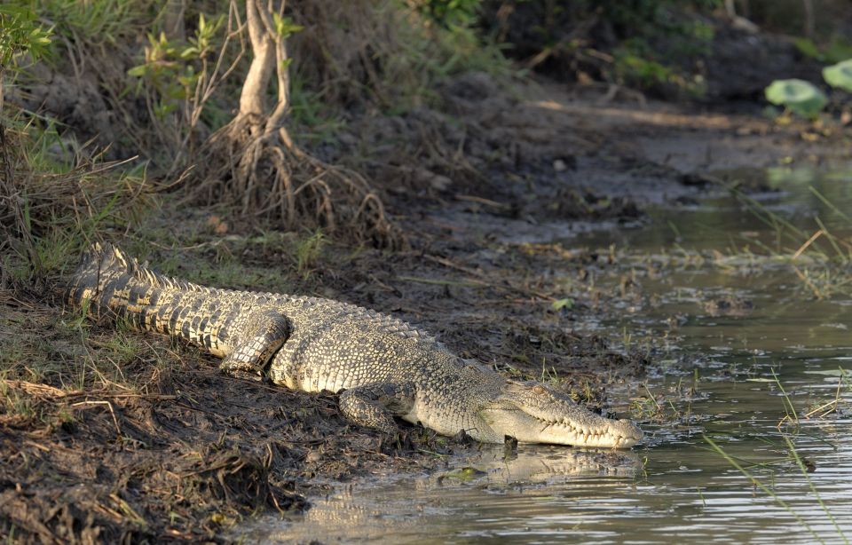 Day 5 : Yala - South Coast